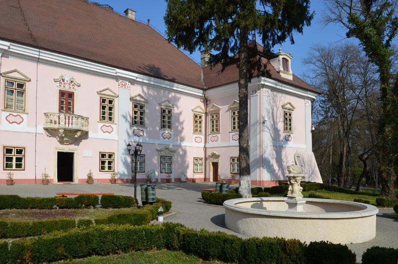 Vila Europa Cluj-Napoca Exteriör bild